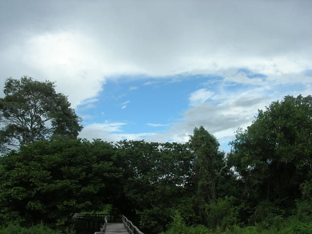 DSCN5622.JPG