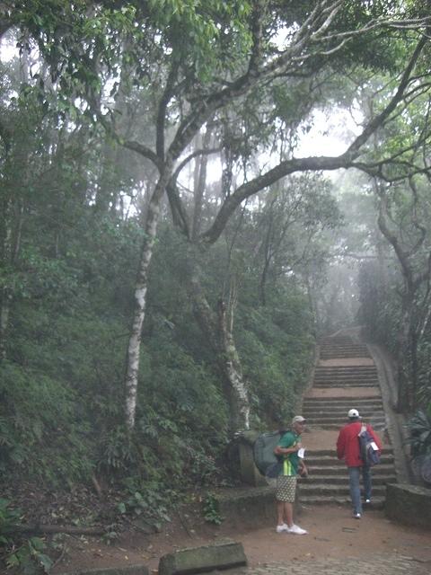 Floresta in Rio