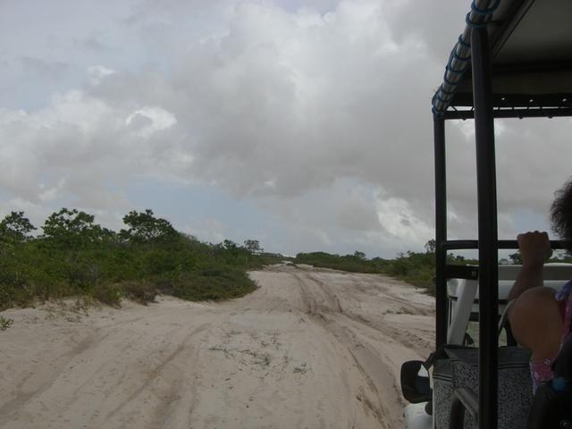 Looking out the jeep