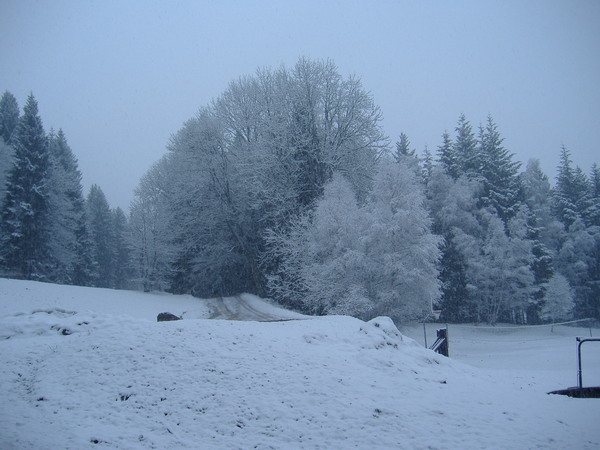 titisee_window2