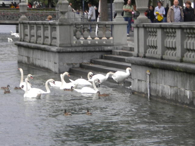 Europe 2009 200.jpg