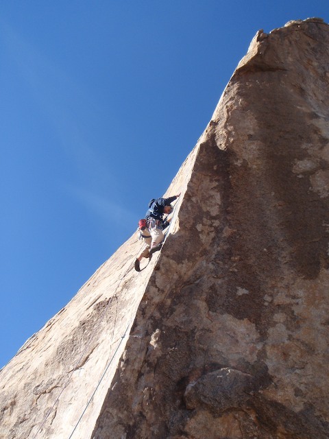 joshua tree 2009 104_1 2