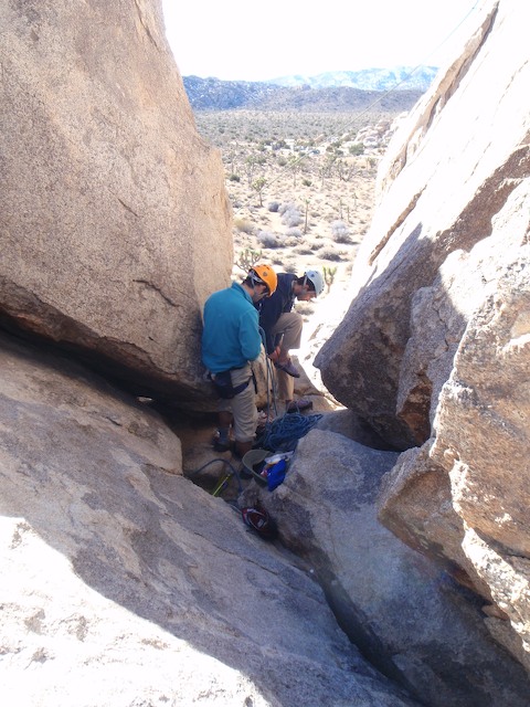 joshua tree 2009 95_1