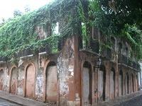 Overgrown building