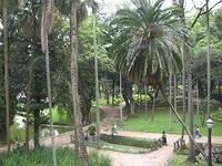 Pinacoteca park