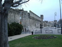 avignon_wall