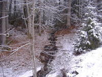 titisee_stream2