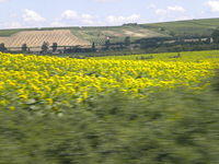 Europe 2009 123.jpg