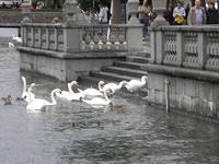 Europe 2009 200.jpg