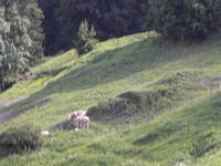 Europe 2009 253.jpg