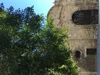 IMG_6931-original