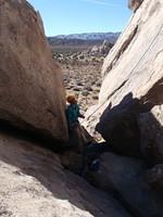 joshua tree 2009 99_1